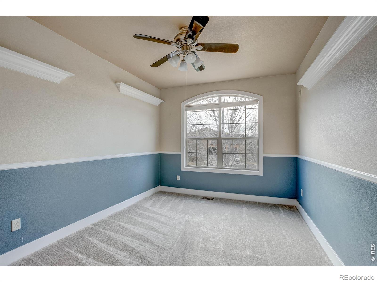 8416 Starfish Court Windsor CO 80528