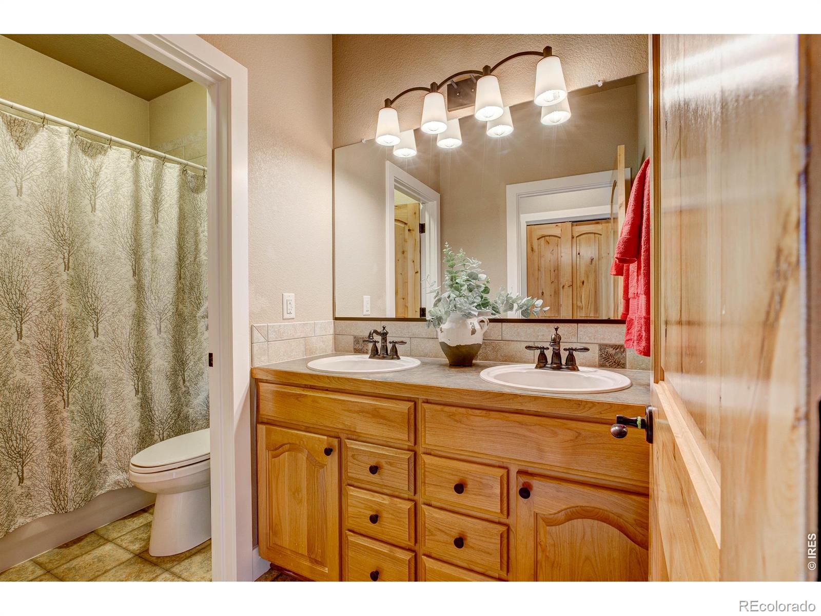 8416 Starfish Court Windsor CO 80528