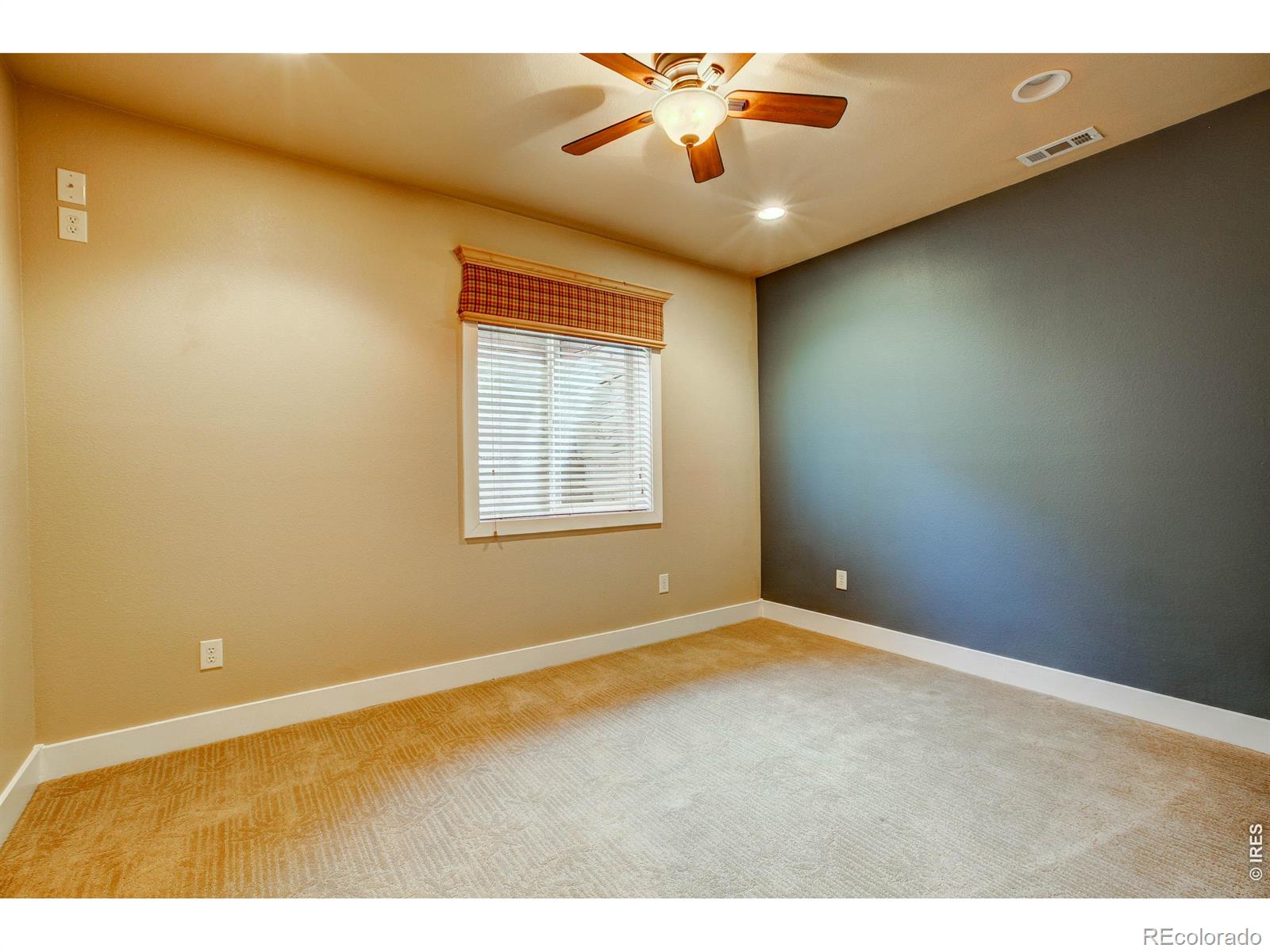 8416 Starfish Court Windsor CO 80528