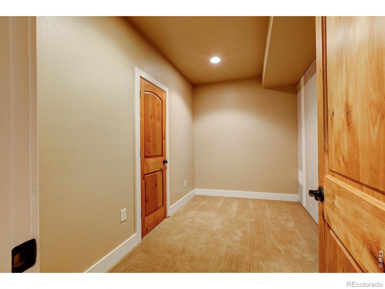8416 Starfish Court Windsor CO 80528