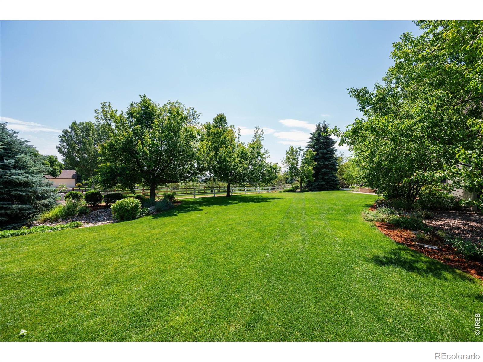 8416 Starfish Court Windsor CO 80528