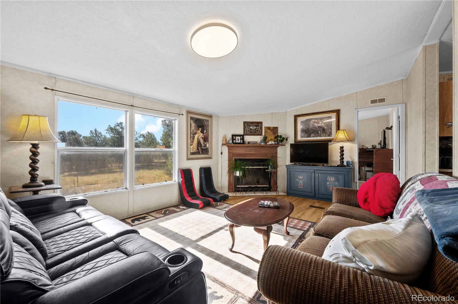 47 Bob Richards Drive Cotopaxi CO 81223