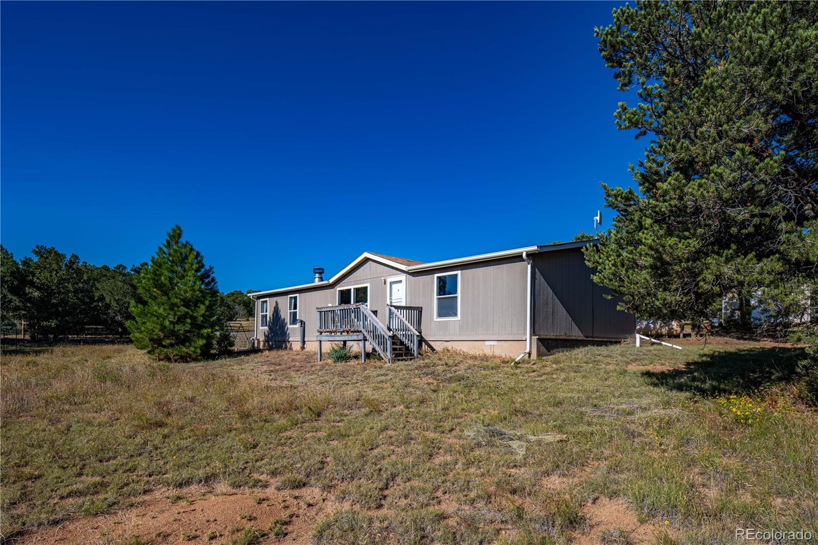 47 Bob Richards Drive Cotopaxi CO 81223