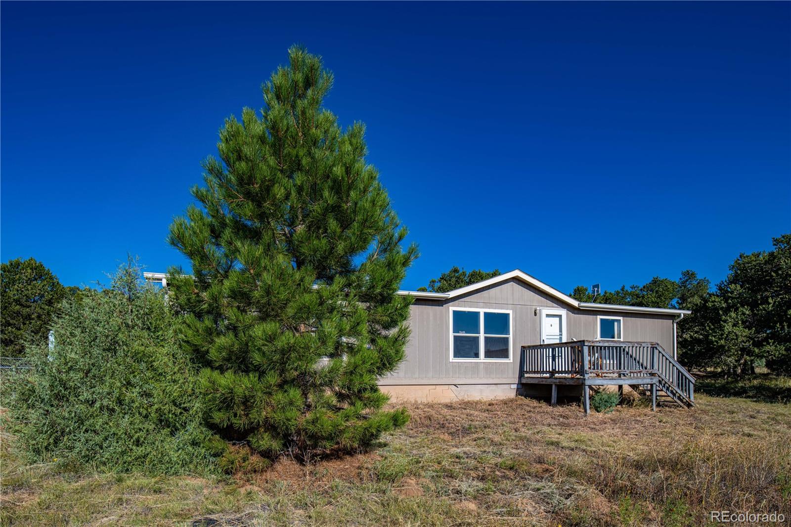 47 Bob Richards Drive Cotopaxi CO 81223