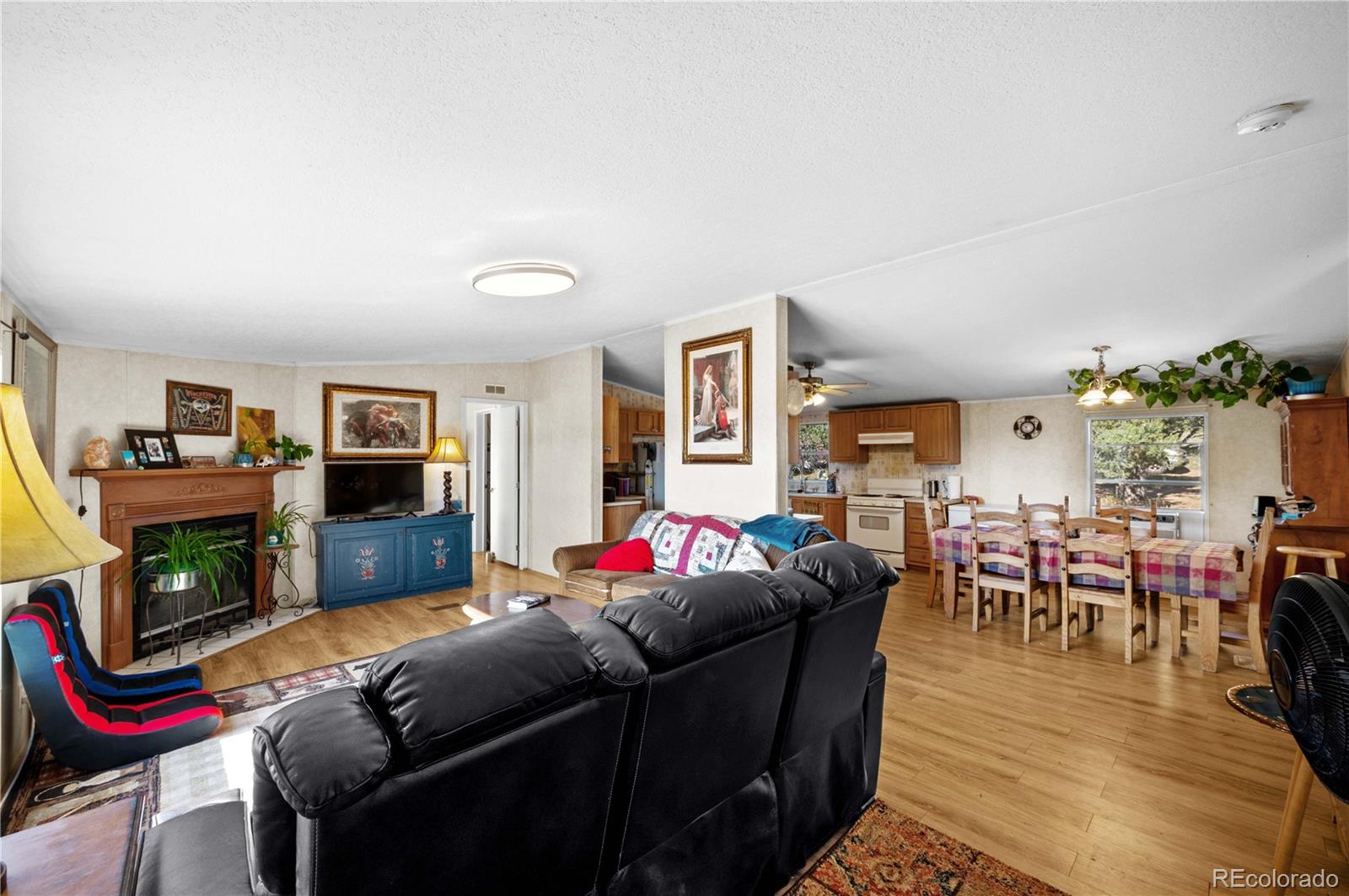 47 Bob Richards Drive Cotopaxi CO 81223