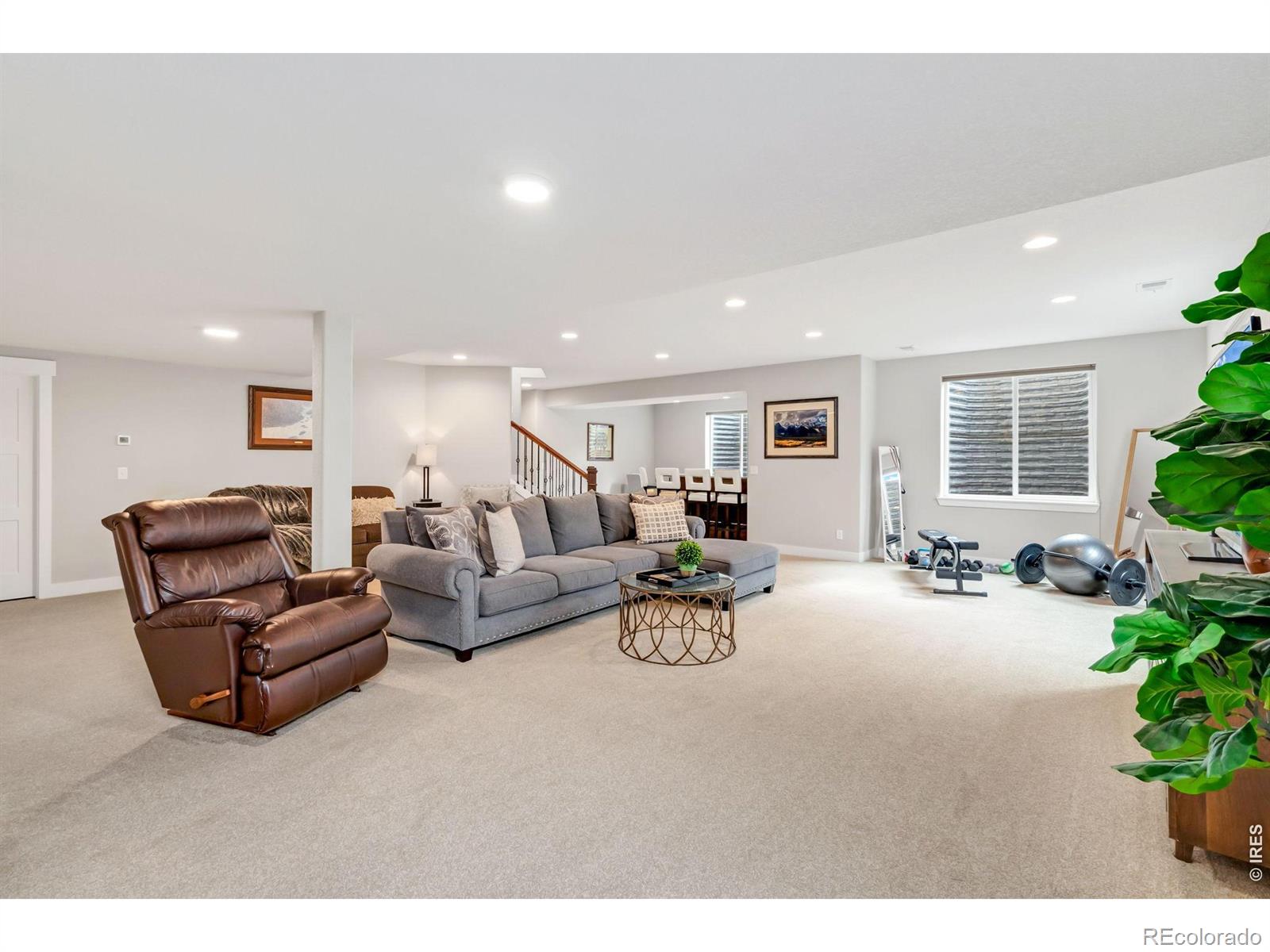 1115 Waterfall Street Timnath CO 80547