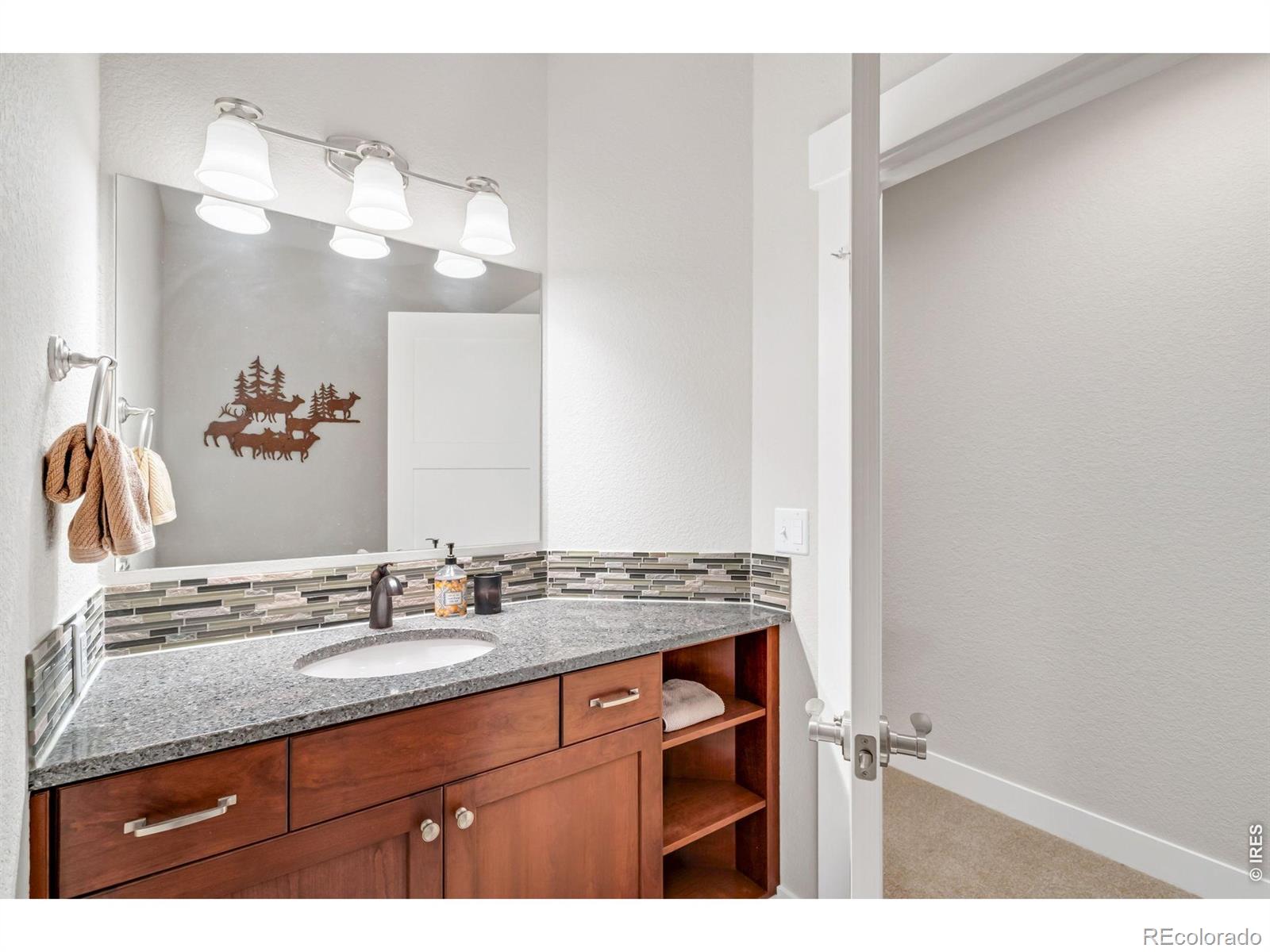 1115 Waterfall Street Timnath CO 80547