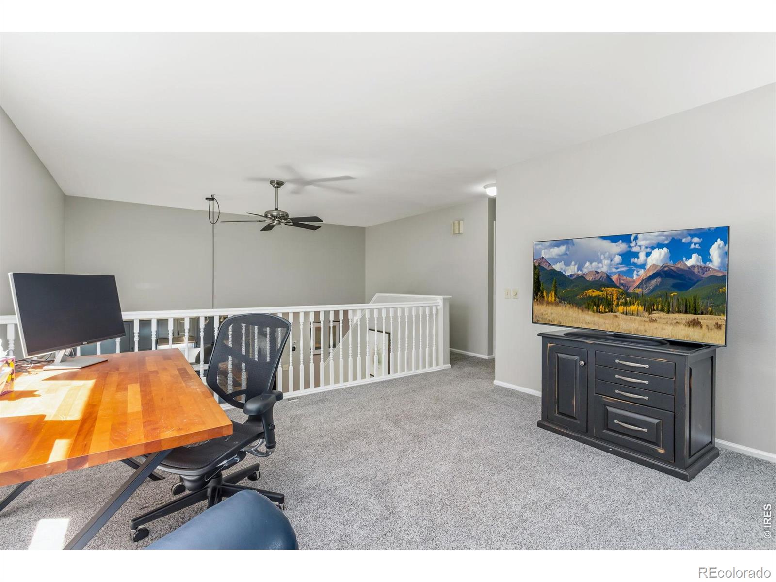 1121 Mansfield Drive Fort Collins CO 80525