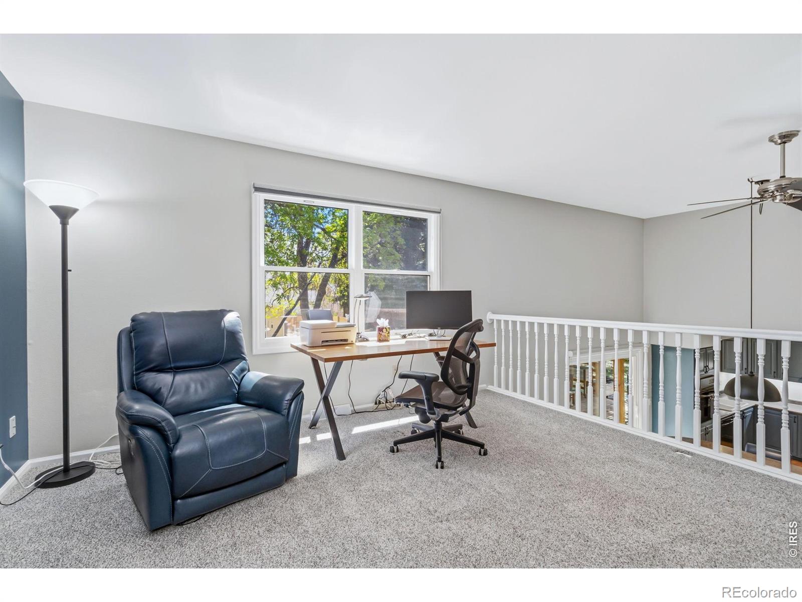 1121 Mansfield Drive Fort Collins CO 80525