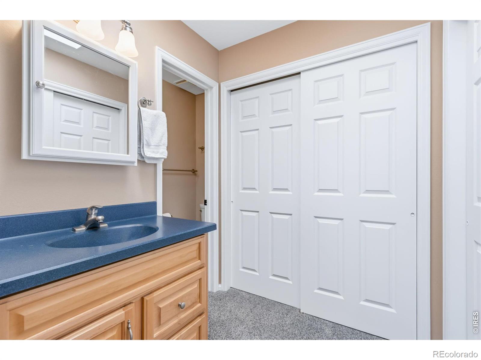 1121 Mansfield Drive Fort Collins CO 80525