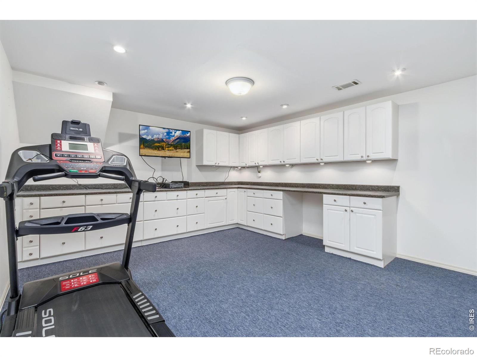 1121 Mansfield Drive Fort Collins CO 80525