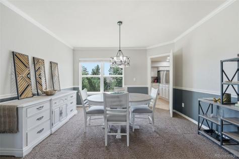 822 Shadowstone Drive Highlands Ranch CO 80129