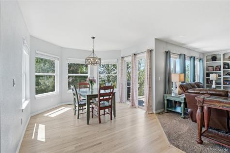 822 Shadowstone Drive Highlands Ranch CO 80129