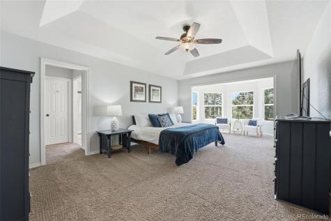 822 Shadowstone Drive Highlands Ranch CO 80129