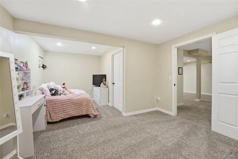 822 Shadowstone Drive Highlands Ranch CO 80129