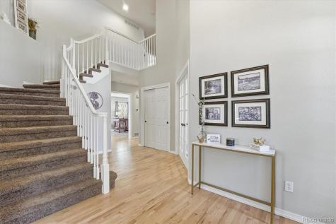 822 Shadowstone Drive Highlands Ranch CO 80129