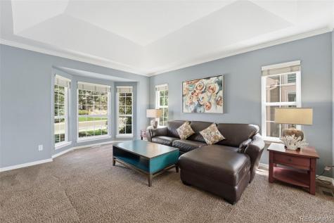 822 Shadowstone Drive Highlands Ranch CO 80129