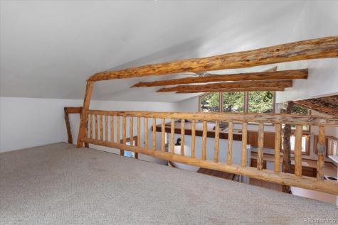 16715 Shadow Lane Nathrop CO 81236