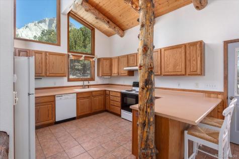 16715 Shadow Lane Nathrop CO 81236