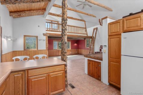 16715 Shadow Lane Nathrop CO 81236