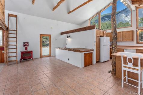 16715 Shadow Lane Nathrop CO 81236