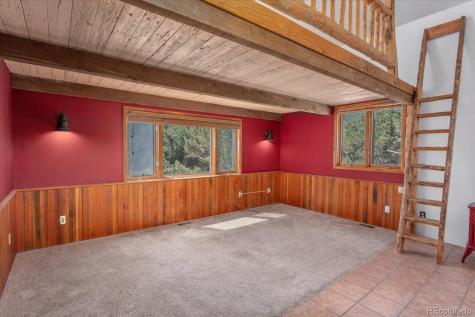 16715 Shadow Lane Nathrop CO 81236