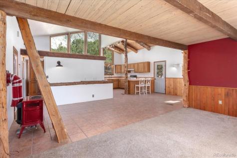 16715 Shadow Lane Nathrop CO 81236