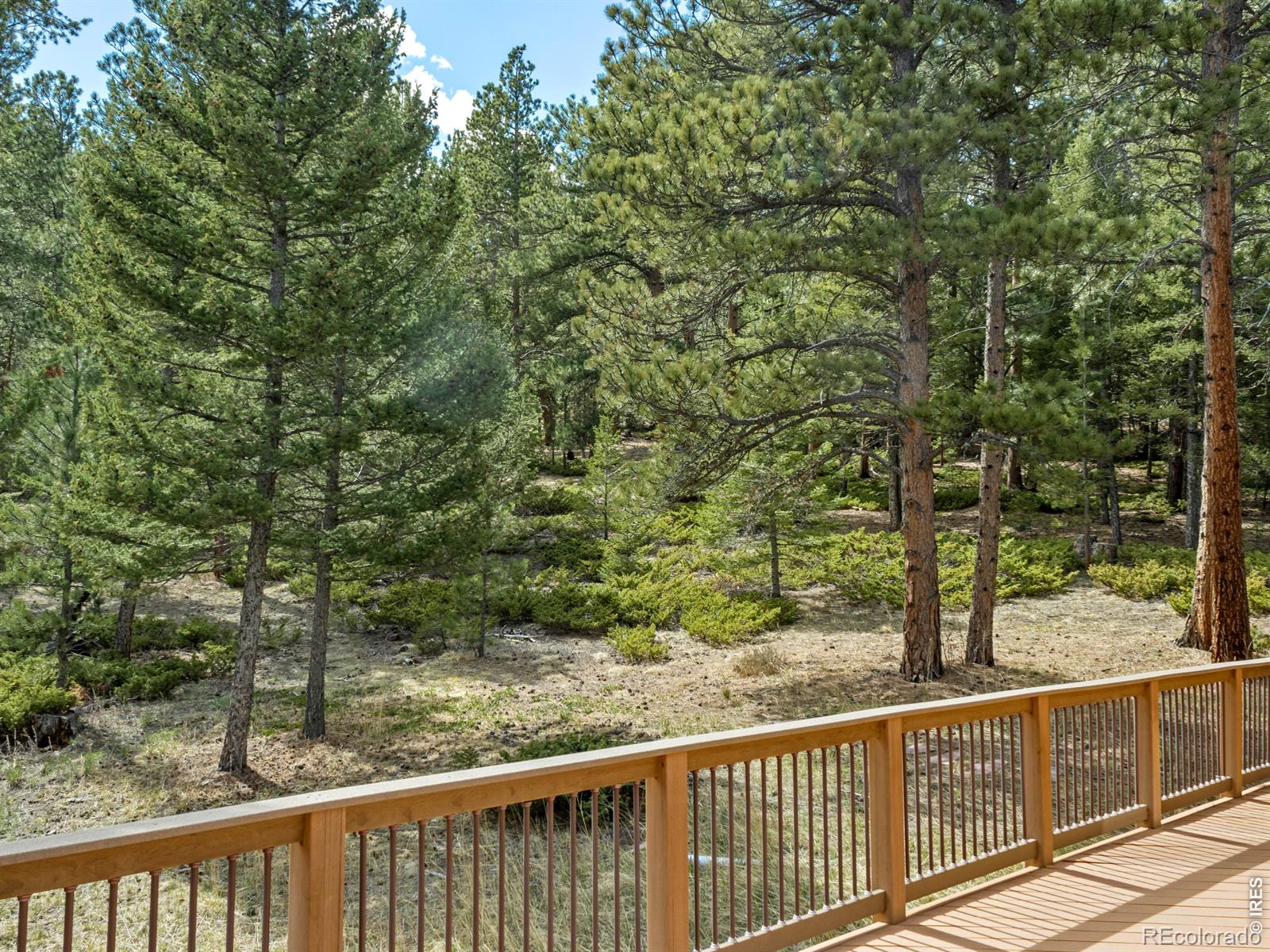 195 Rockledge Circle Lyons CO 80540