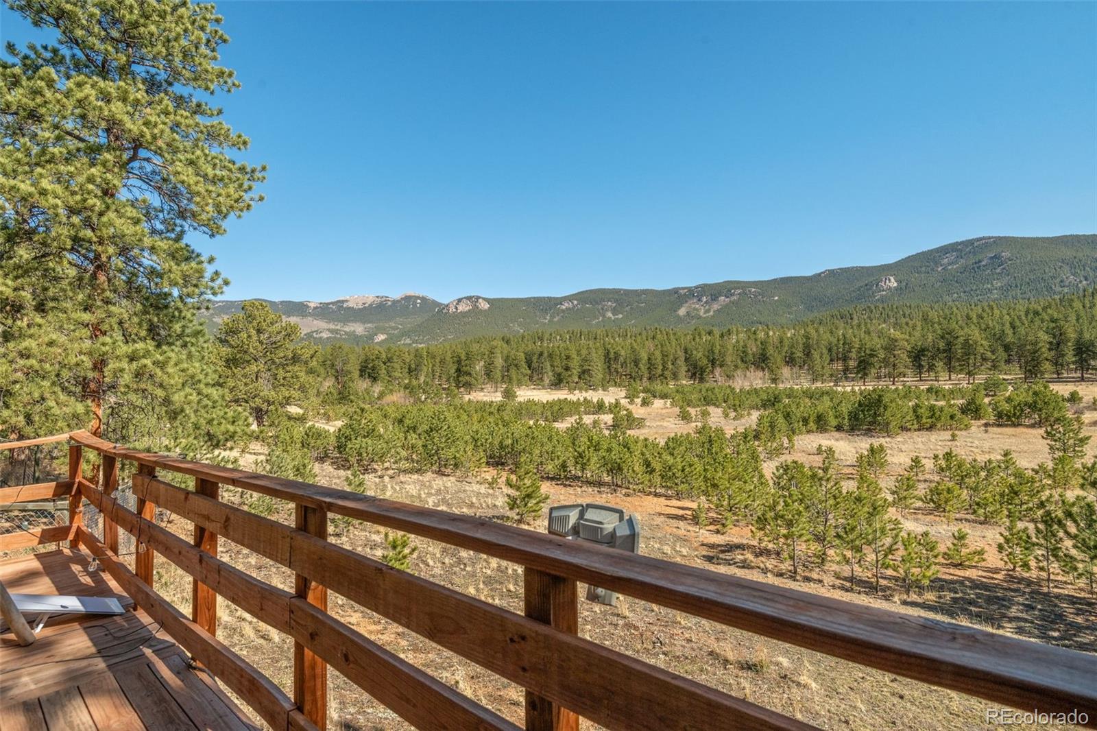 88 Neal Street Bailey CO 80421
