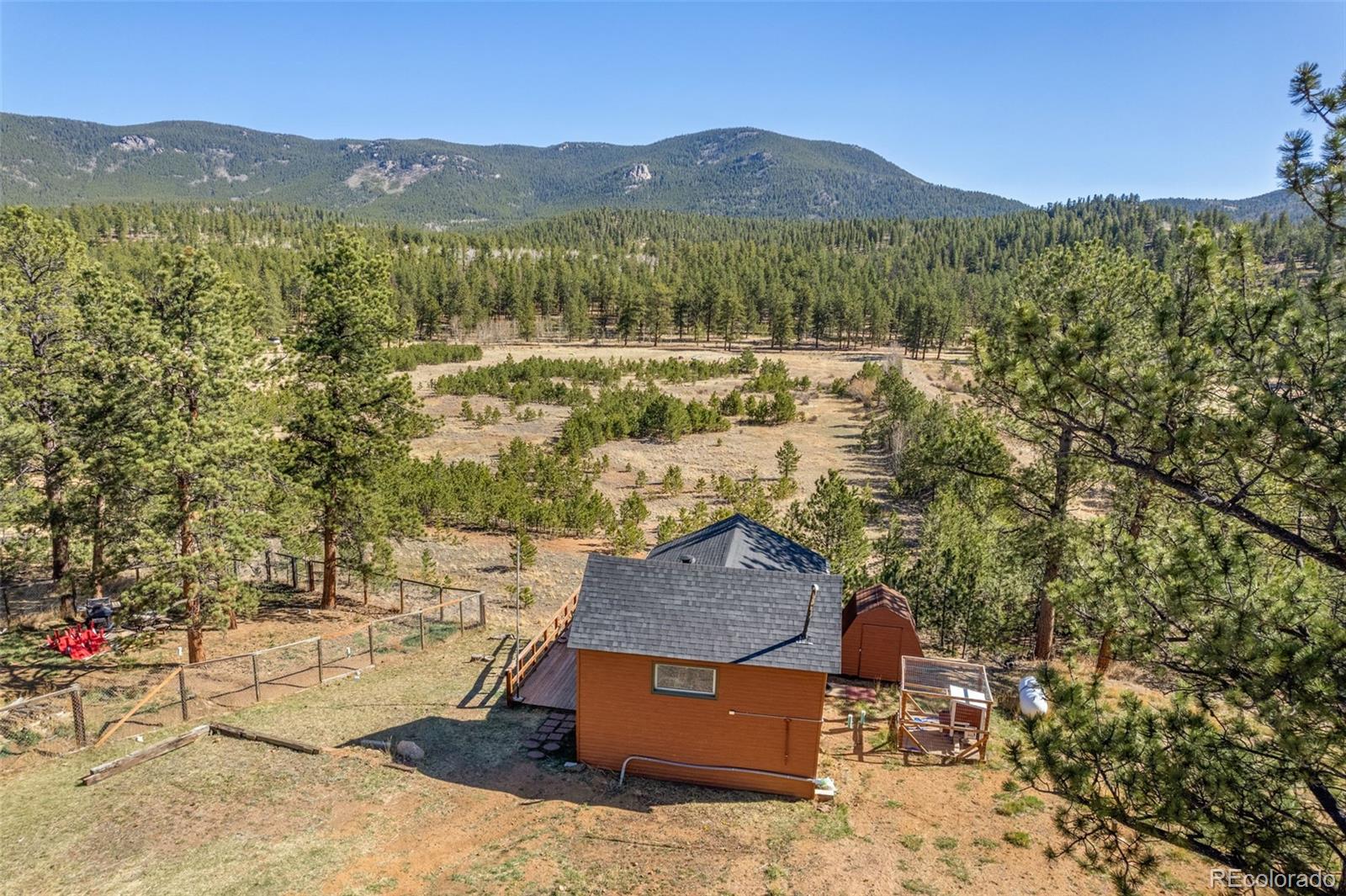 88 Neal Street Bailey CO 80421