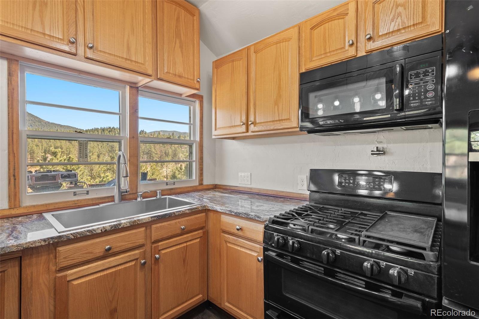 88 Neal Street Bailey CO 80421