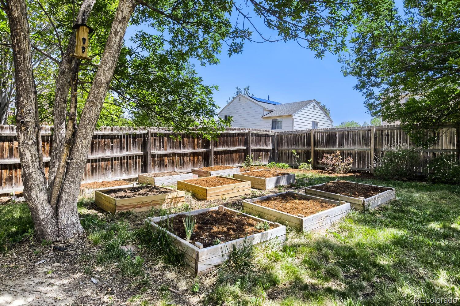 1633 Deerwood Drive Longmont CO 80504