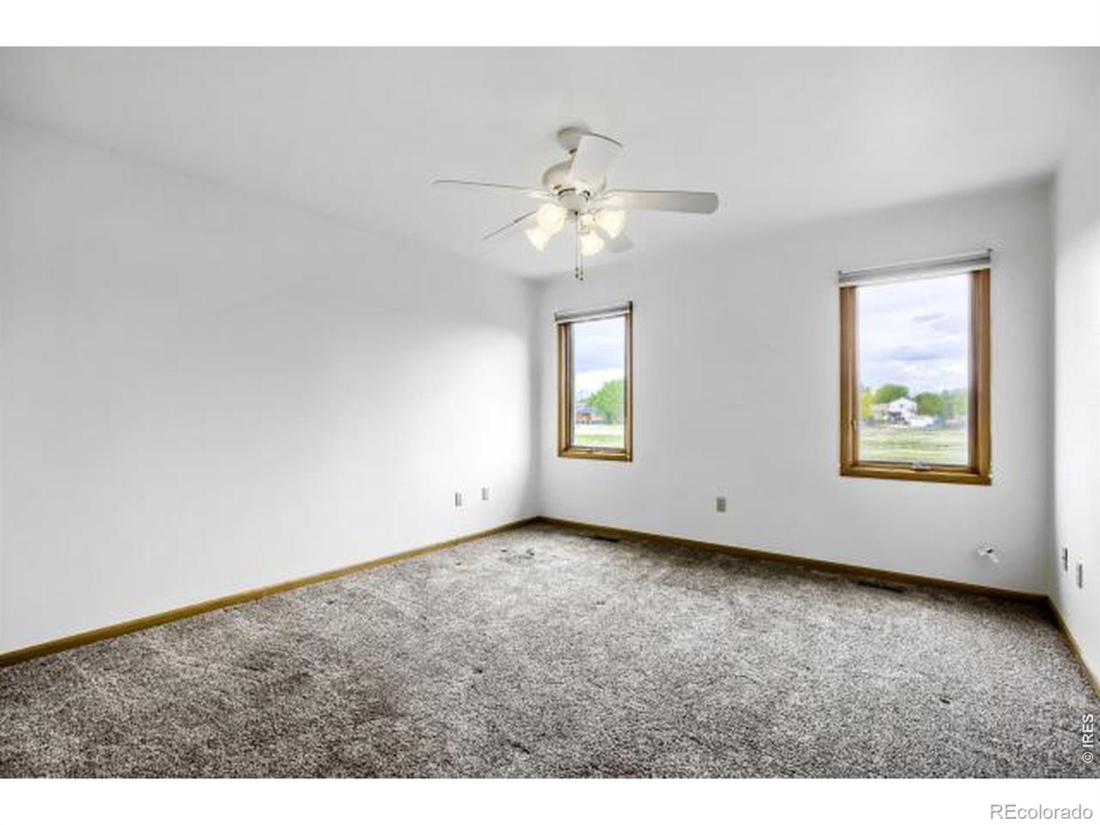 557 Trailwood Circle Windsor CO 80550