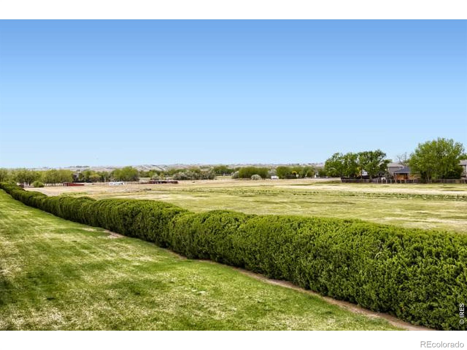 557 Trailwood Circle Windsor CO 80550