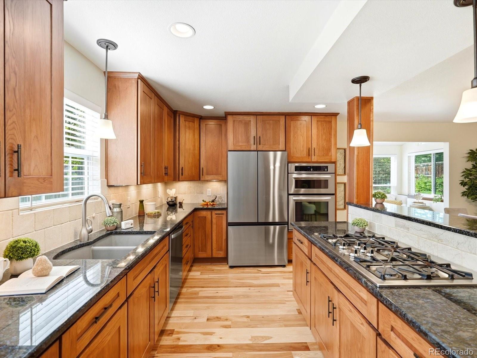 11520 Homestake Peak Littleton CO 80127
