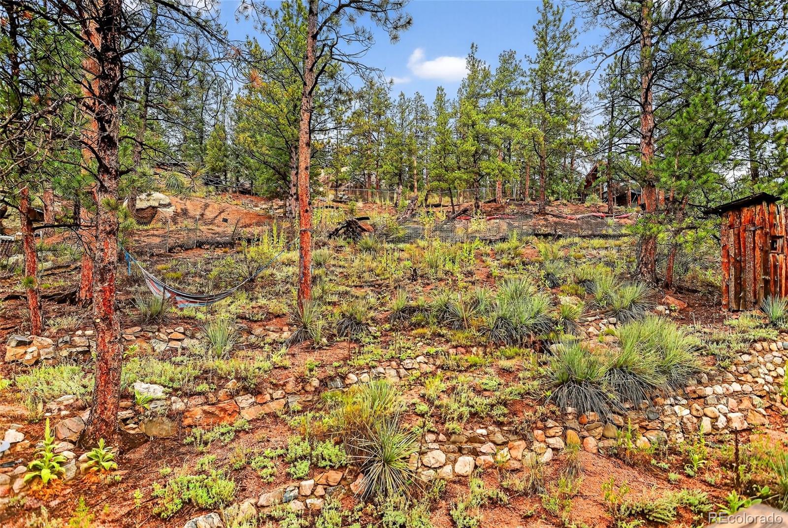 27403 Schuyler Gulch Road Pine CO 80470