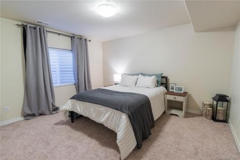 249 Avocet Loop Colorado Springs CO 80921