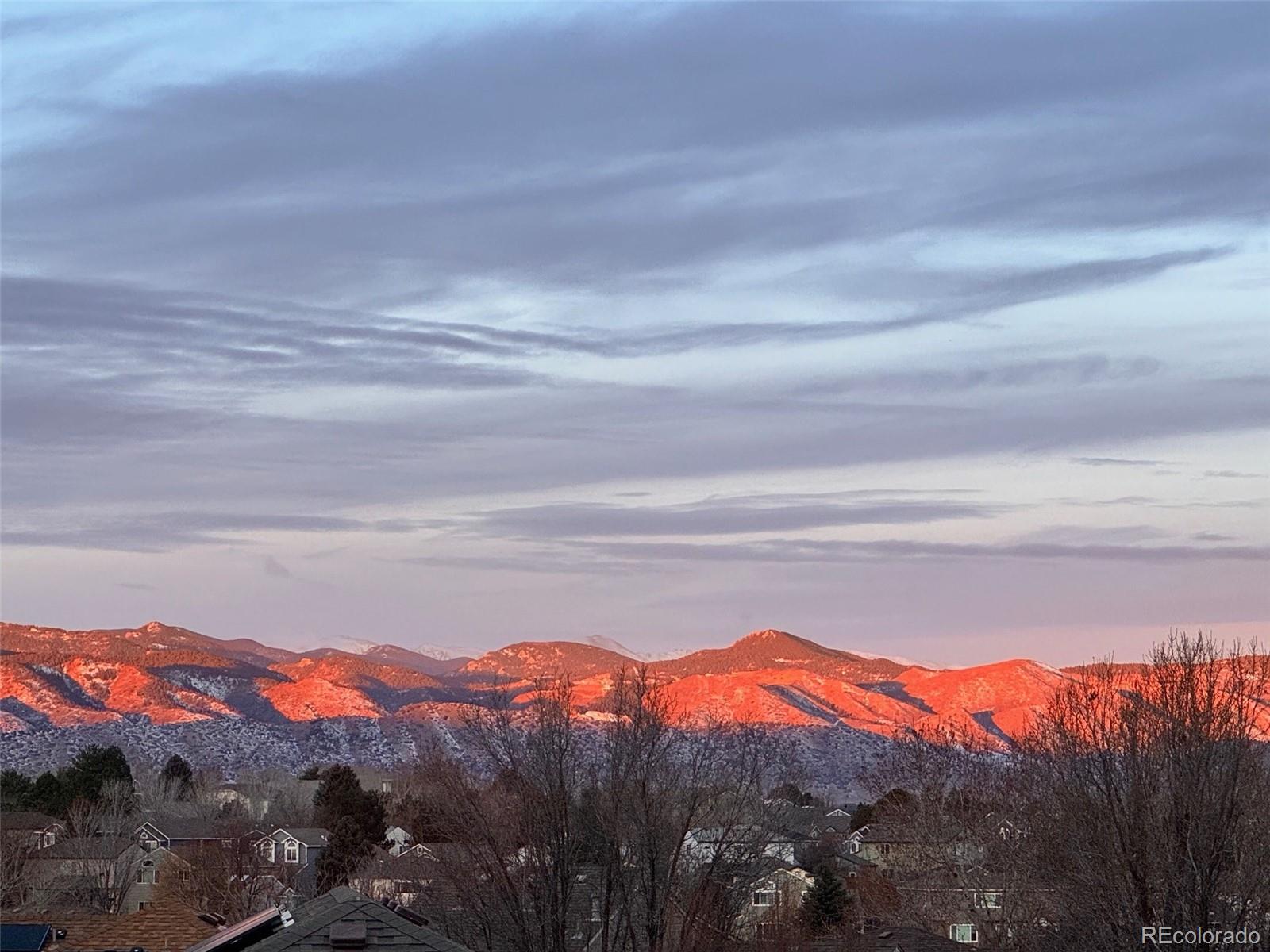 9952 Silver Maple Road Highlands Ranch CO 80129
