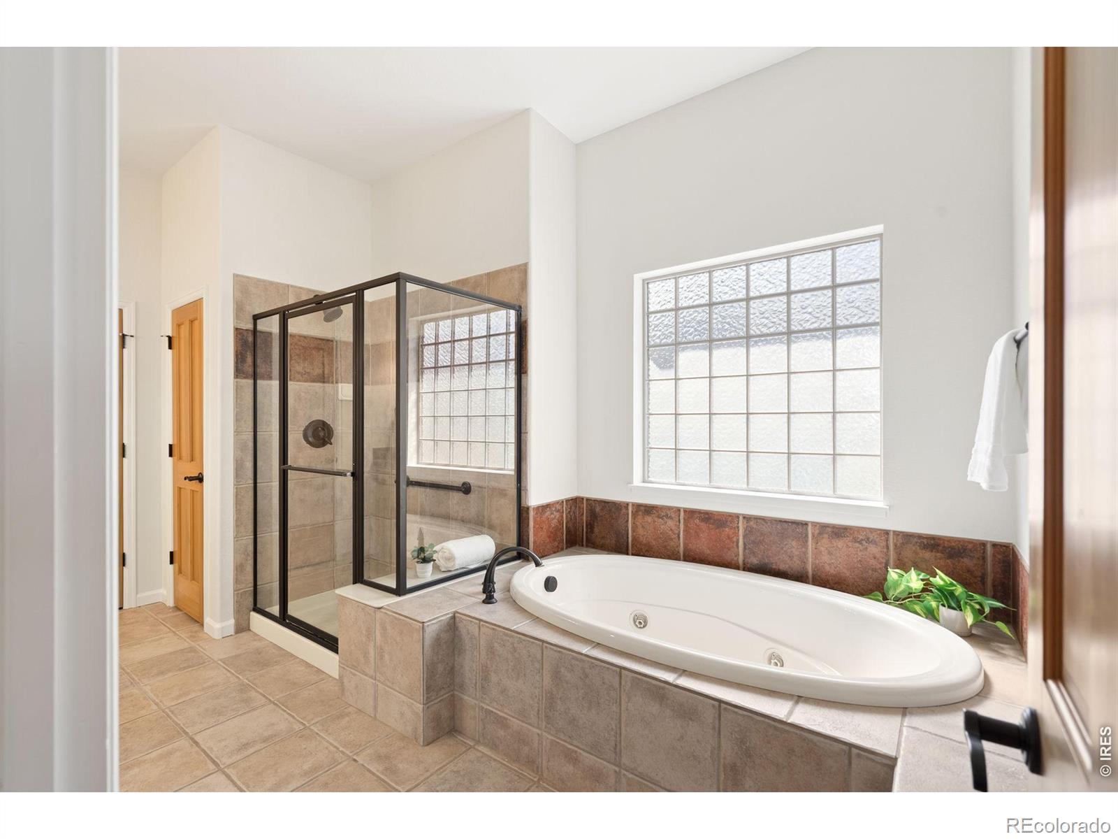 6535 Half Moon Bay Drive Windsor CO 80550