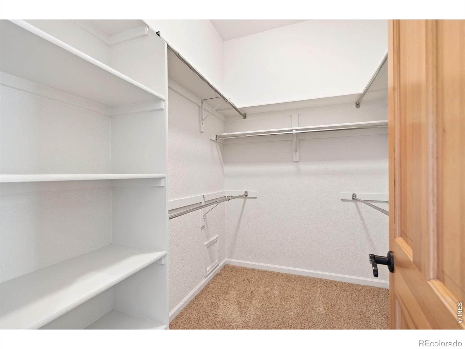 6535 Half Moon Bay Drive Windsor CO 80550