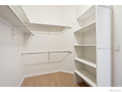 6535 Half Moon Bay Drive Windsor CO 80550