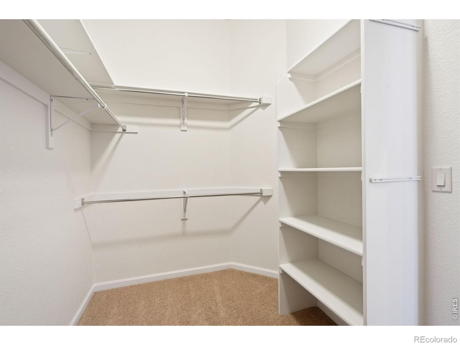 6535 Half Moon Bay Drive Windsor CO 80550