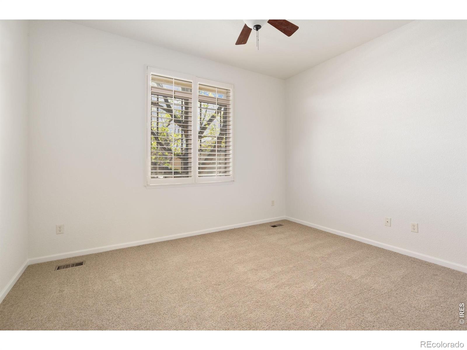 6535 Half Moon Bay Drive Windsor CO 80550