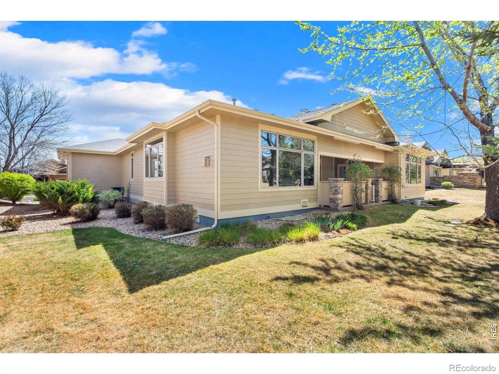 6535 Half Moon Bay Drive Windsor CO 80550
