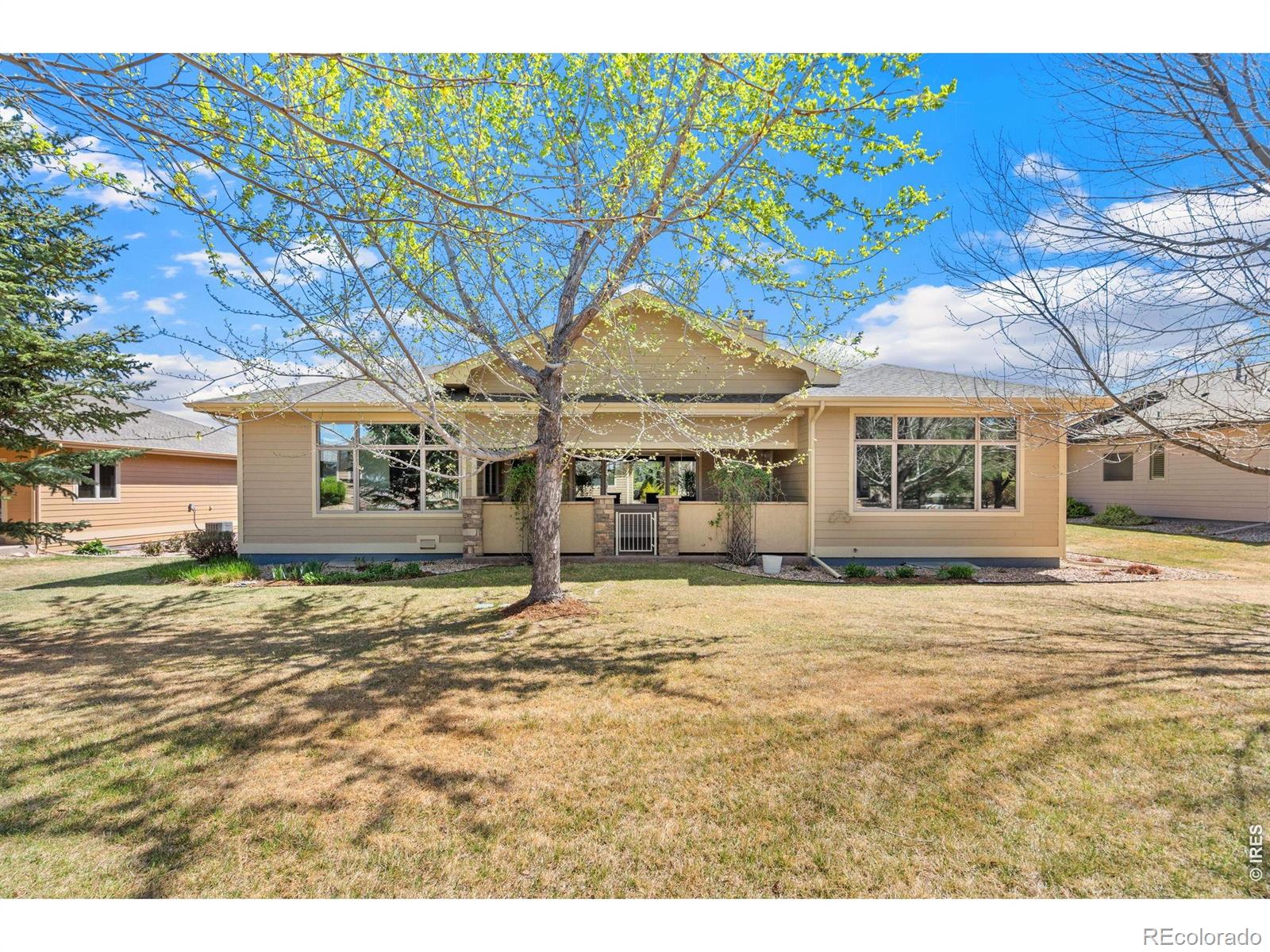 6535 Half Moon Bay Drive Windsor CO 80550
