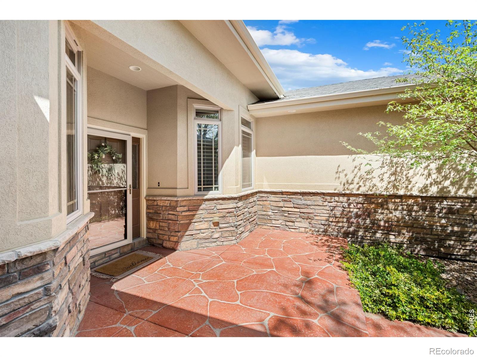 6535 Half Moon Bay Drive Windsor CO 80550