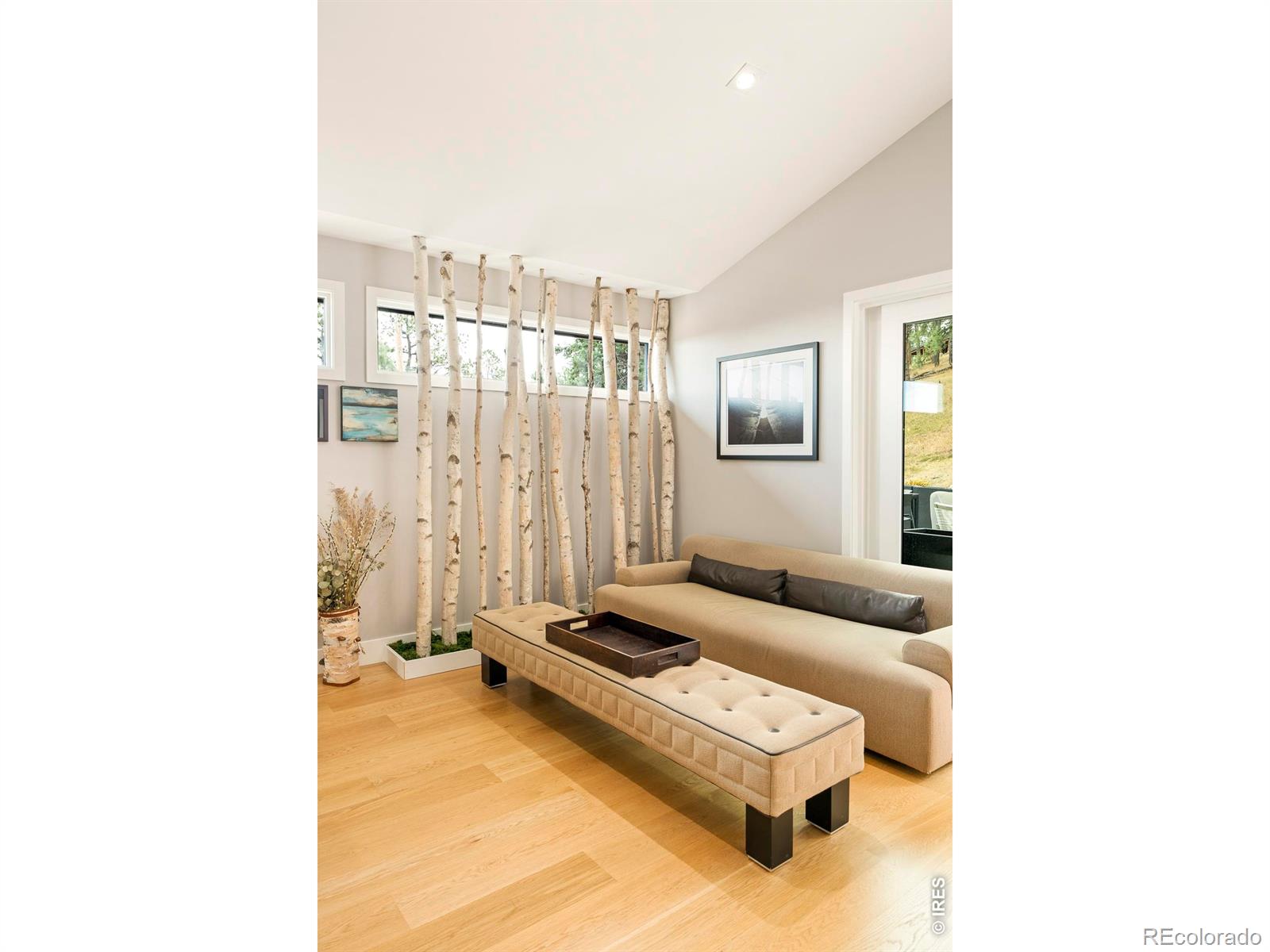 316 Pine Tree Lane Boulder CO 80304