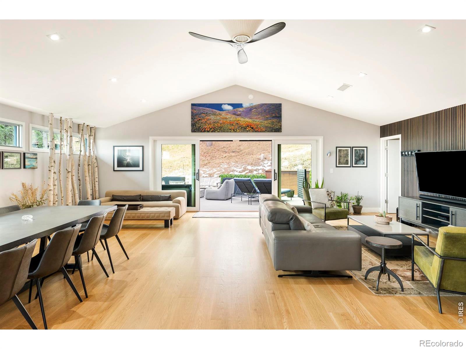 316 Pine Tree Lane Boulder CO 80304