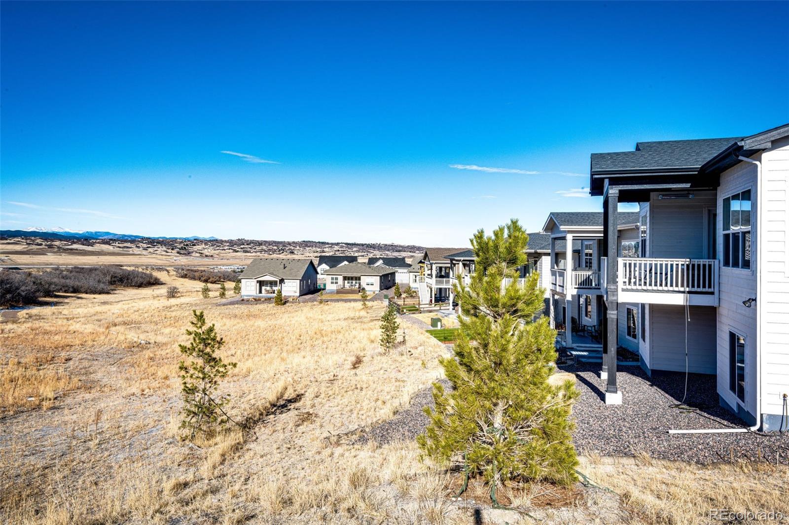 5681 Water Avens Drive Castle Rock CO 80104