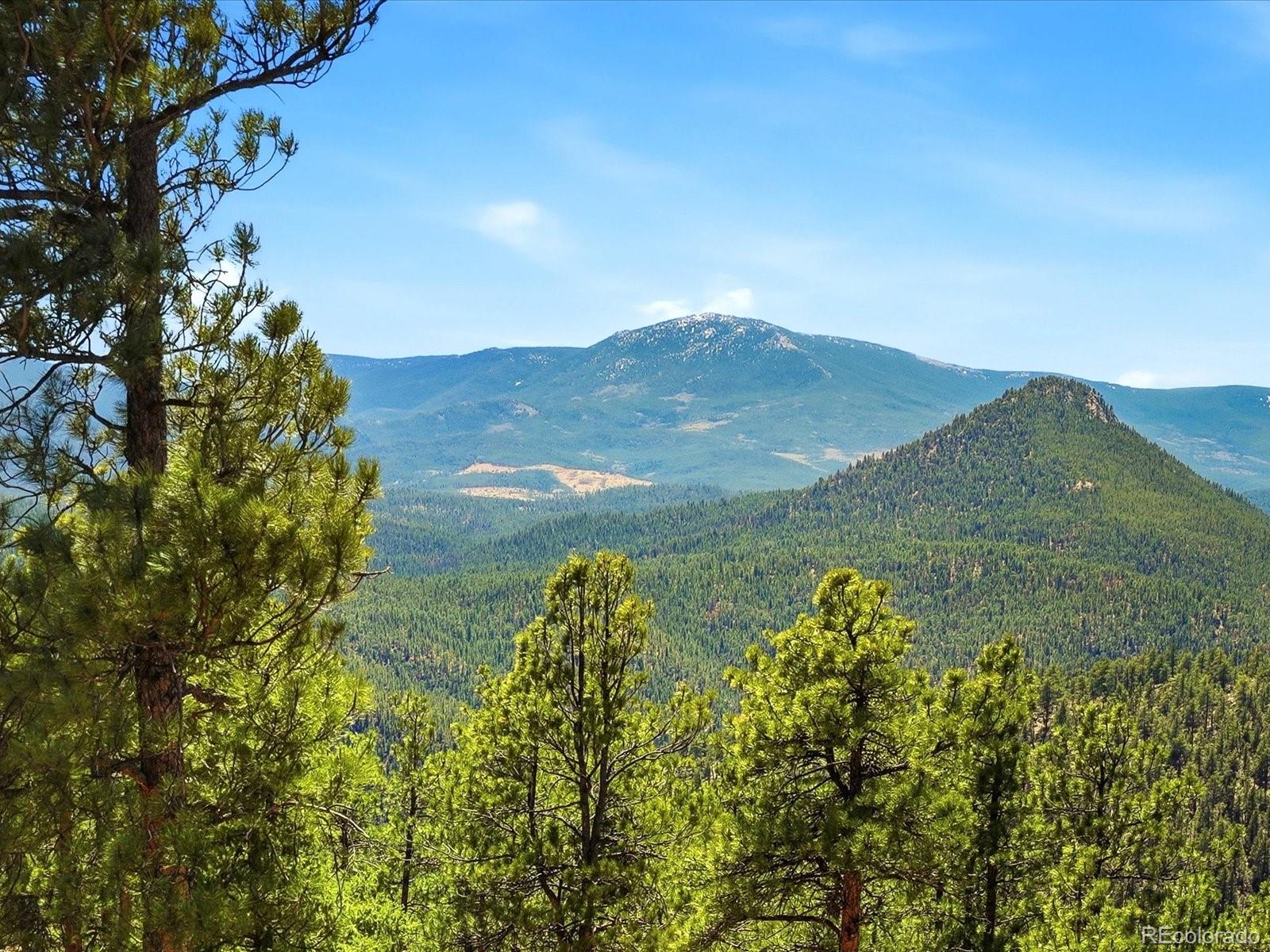 475 Holmes Gulch Road Bailey CO 80421
